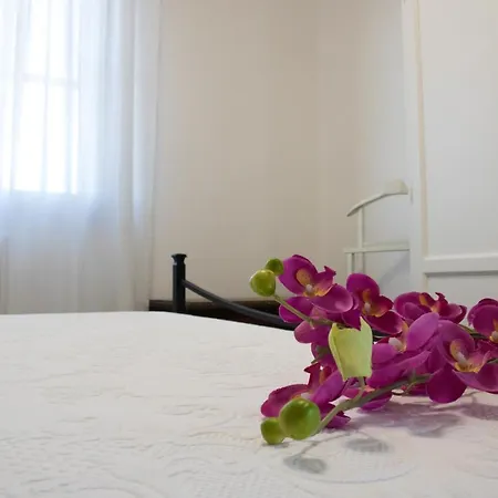 Sol Leone Apartment