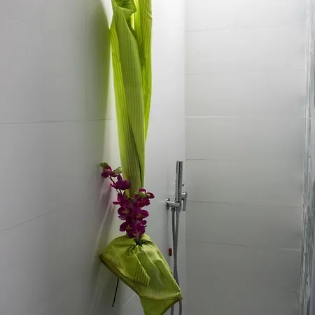 Sol Leone * פורטו טורס