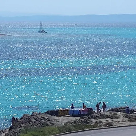 Sol Leone פורטו טורס