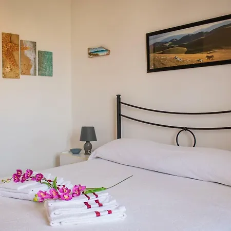 Sol Leone * פורטו טורס